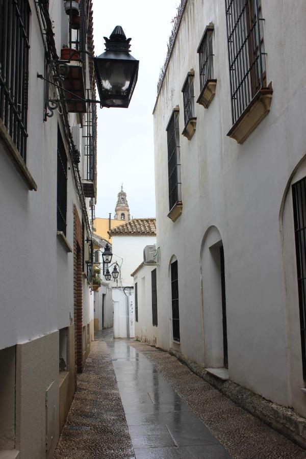 Апартаменты Loft Turistico En Casco Historico, Wifi Y Tv Satelite Gratis Кордова Экстерьер фото
