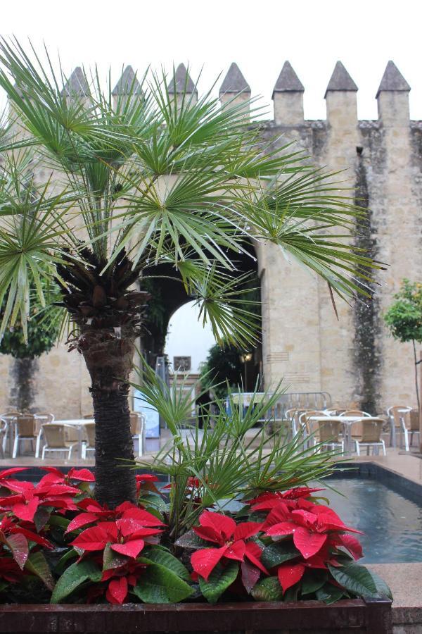 Апартаменты Loft Turistico En Casco Historico, Wifi Y Tv Satelite Gratis Кордова Экстерьер фото