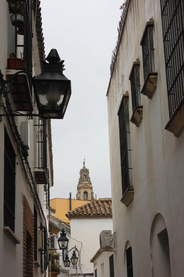 Апартаменты Loft Turistico En Casco Historico, Wifi Y Tv Satelite Gratis Кордова Экстерьер фото