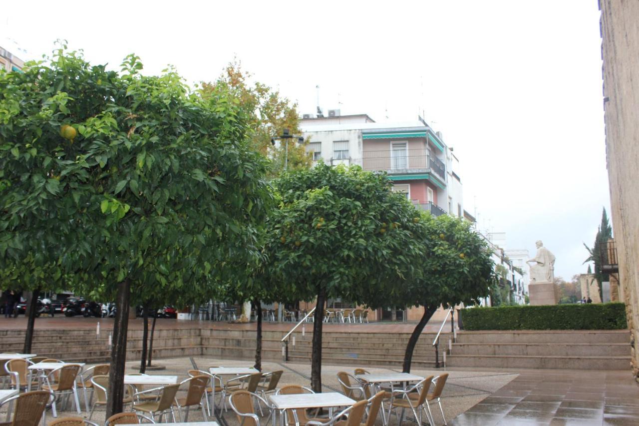 Апартаменты Loft Turistico En Casco Historico, Wifi Y Tv Satelite Gratis Кордова Экстерьер фото