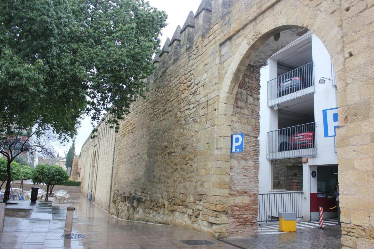 Апартаменты Loft Turistico En Casco Historico, Wifi Y Tv Satelite Gratis Кордова Экстерьер фото